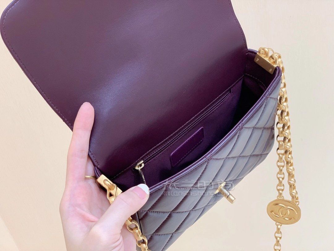 香奈儿金币链条包正品实拍chanel2020秋冬限量版金币包17cm枣红色钱币