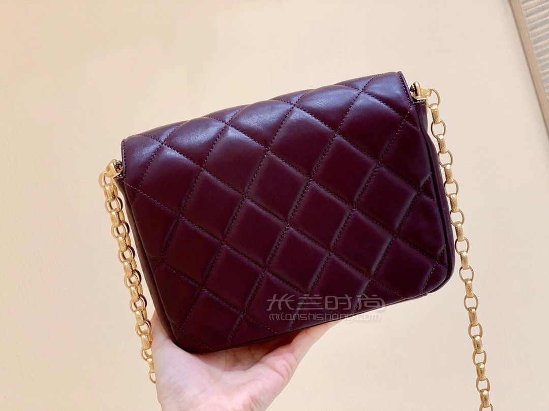 香奈儿金币链条包正品实拍chanel2020秋冬限量版金币包17cm枣红色钱币