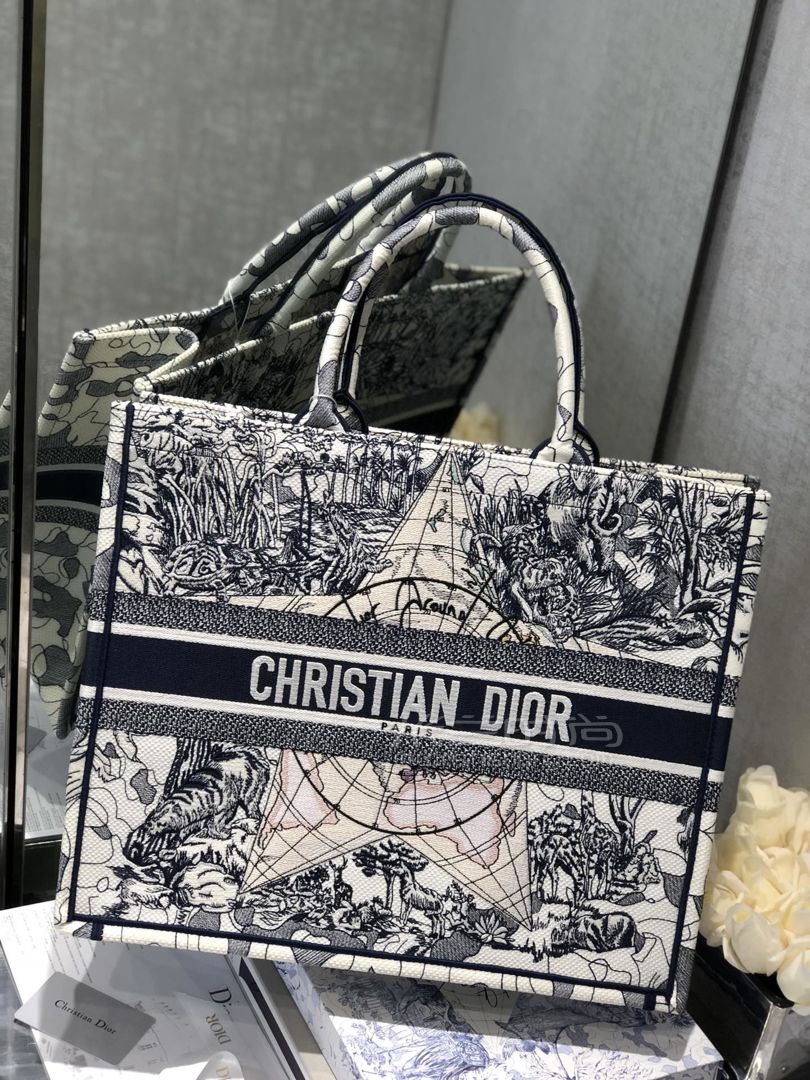 【迪奥托特包】dior book tote女士手提包 2020环球之旅购物袋 小号