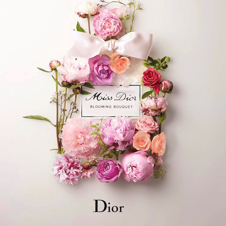 Dior迪奥logo