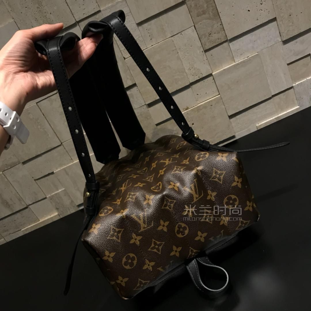 lv路易威登经典款小号背包女老花时尚双肩包m41560