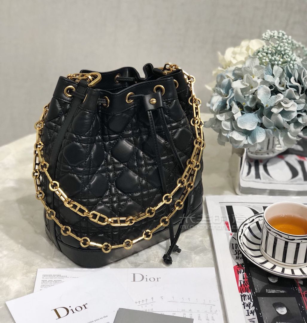 dior最新女包2021水桶包(外贸原单迪奥水桶包)
