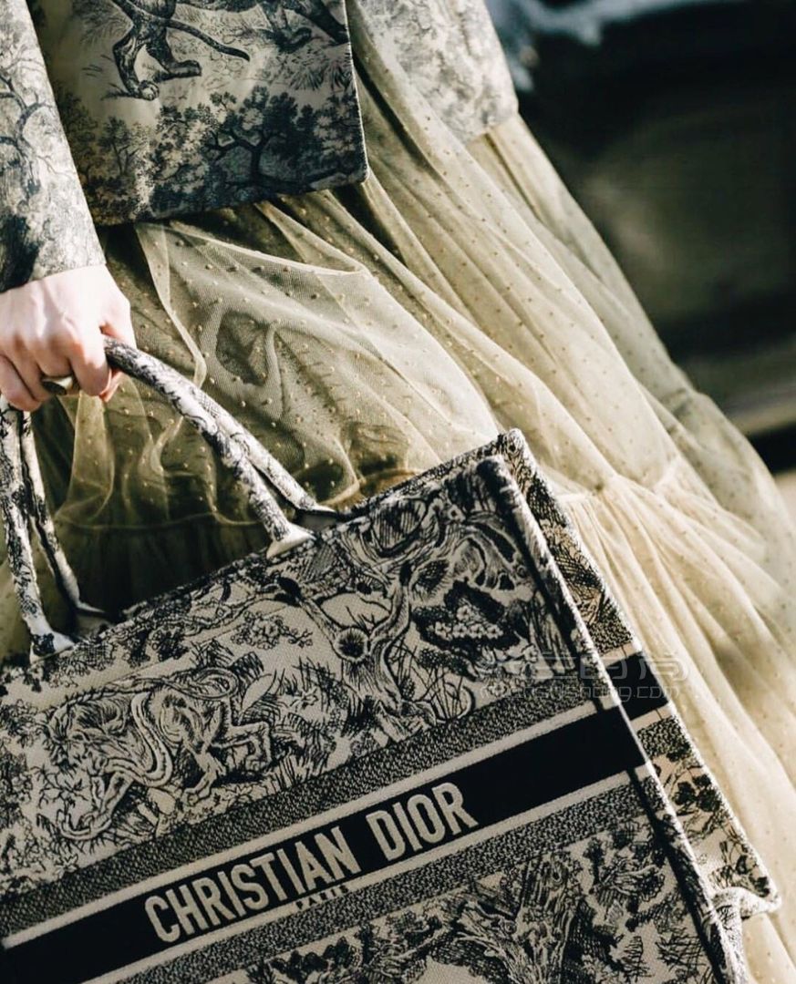 dior迪奥2019cruise野生动物刺绣tote bag 野生丛林购物袋
