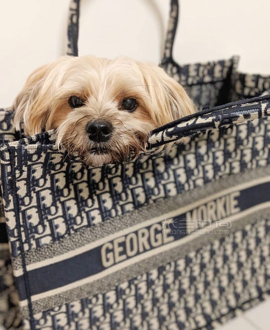 dior book tote迪奥女士托特包 老花帆布条纹印花购物袋单肩包