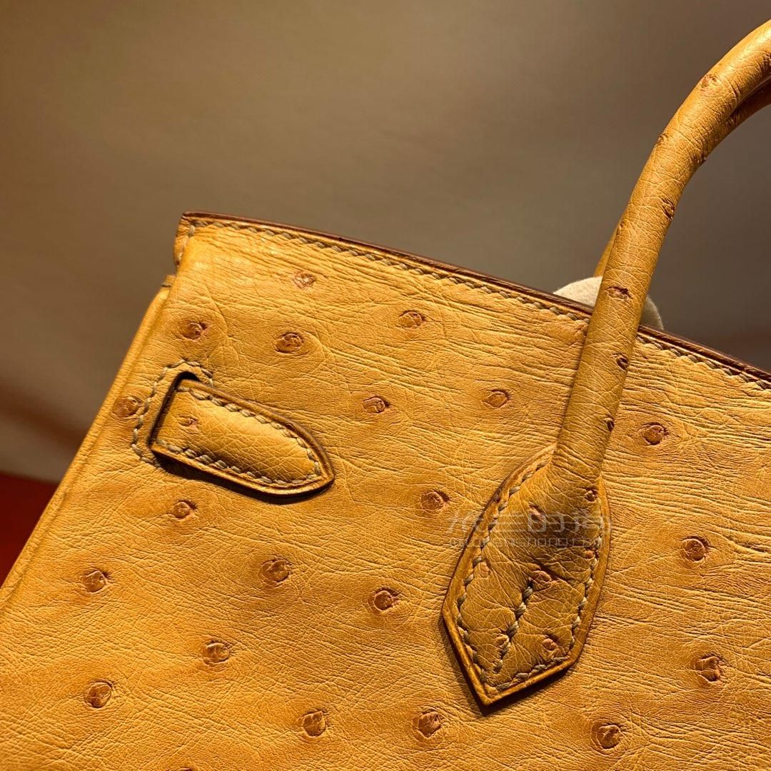 hermes爱马仕铂金包birkin25cm南非顶级鸵鸟ostrich1apaille