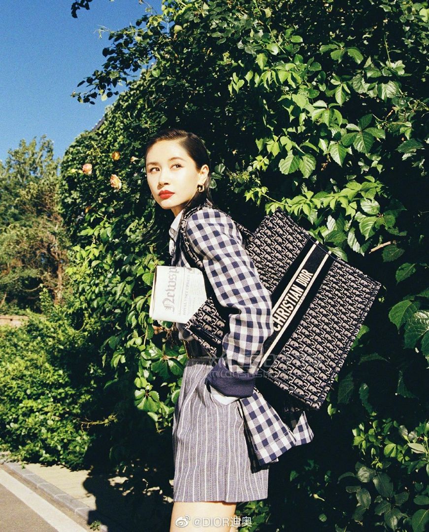 迪奥托特包diorbooktote女士购物袋中古包经典老花复古包大号