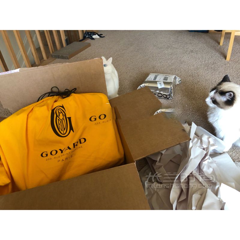 Goyard 高雅德 artois 拉链款黄色购物袋大号 狗牙的这款包我觉得真的是Tote (4)