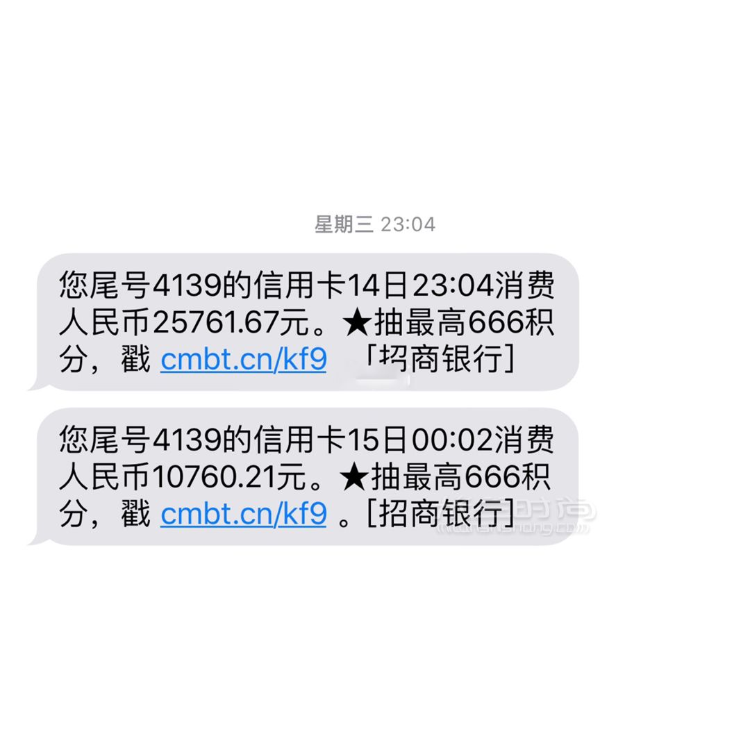 小个子必入！香奈儿流浪包 (5)