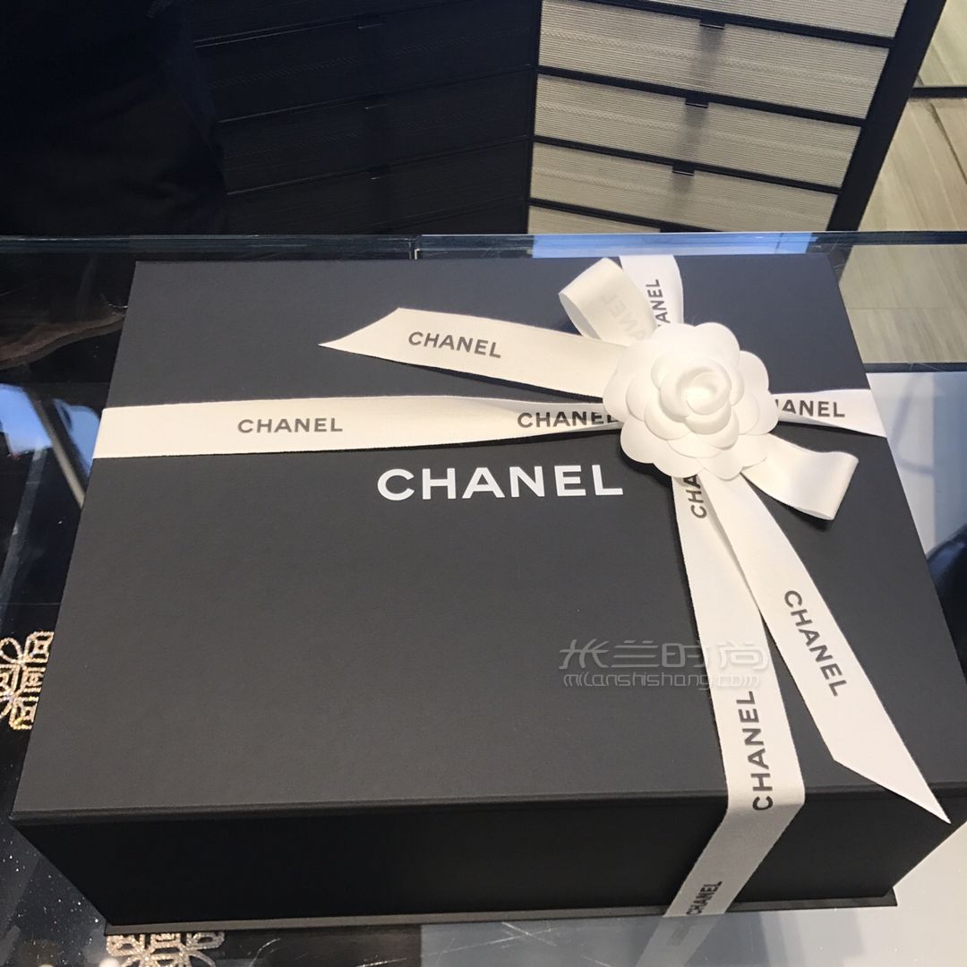 Chanel香奈儿 早秋新款Flapbag风琴包 (3)