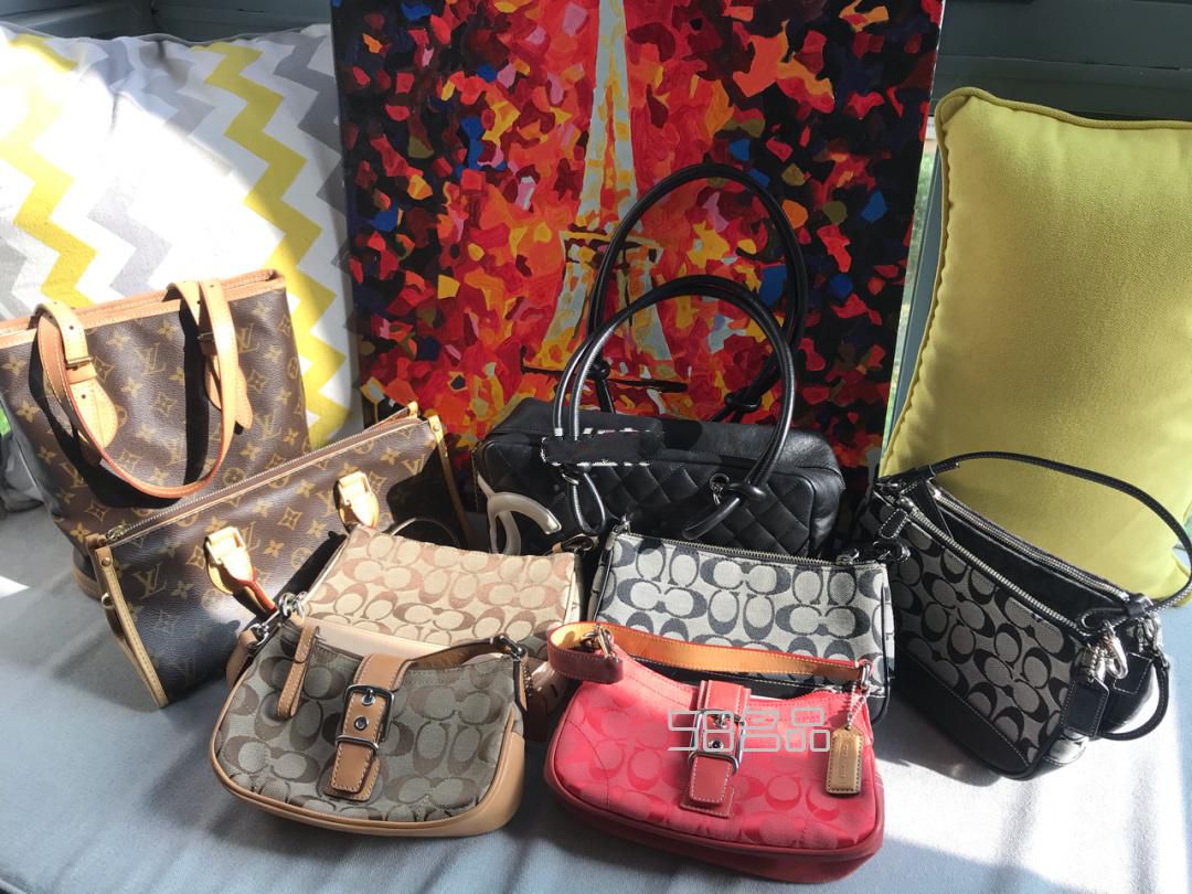 LV、Chanel、Coach热门中古包都是百搭款,lv尾货_1