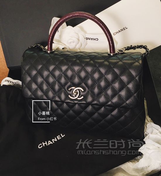 中号Chanel Coco Handle蜥蜴皮手柄_2