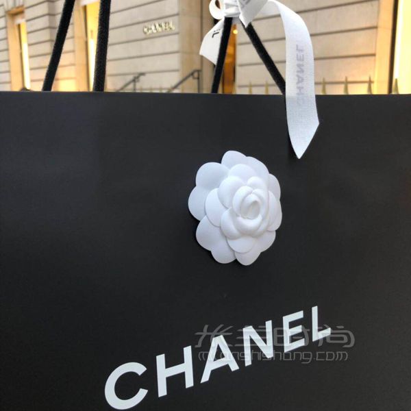 深夜刚喜提全亚洲第一只Chanel2019灰色大号口盖包。原来看中Coco handle_8