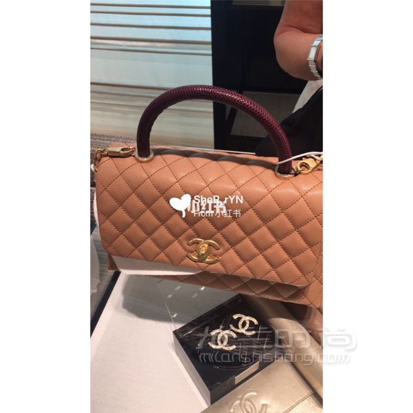 Chanel coco handle 中号 蜥蜴手柄_3