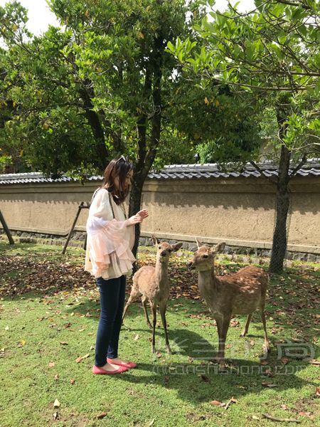 25岁第一个chanel香奈儿流浪包香港铜锣湾时代广场_7