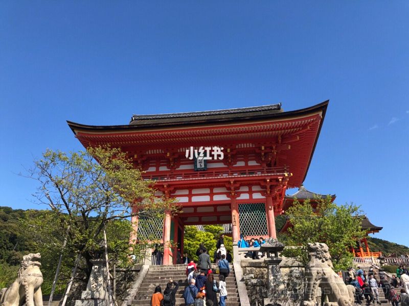 日本大阪、京都自由行攻略 日本旅游签证怎么办？_6