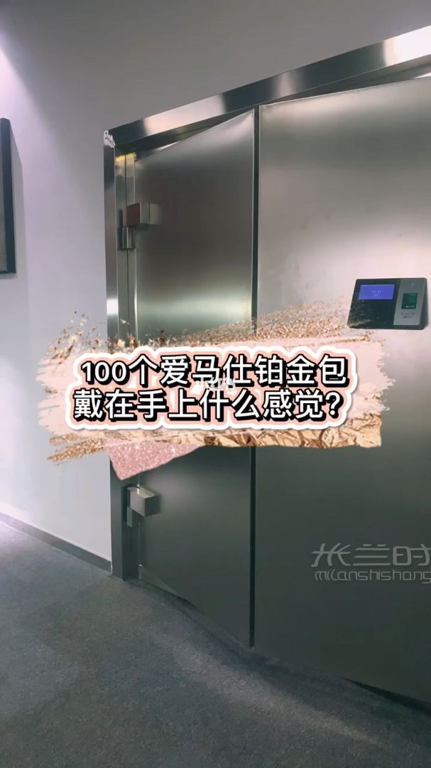 100个爱马仕铂金包戴在手上什么感觉？_1