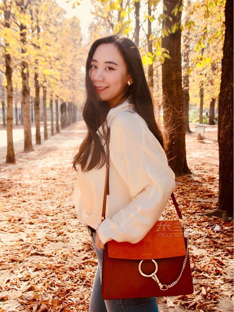 蔻依Chloe faye大号 shoulder bag halo焦糖咖啡馆_3