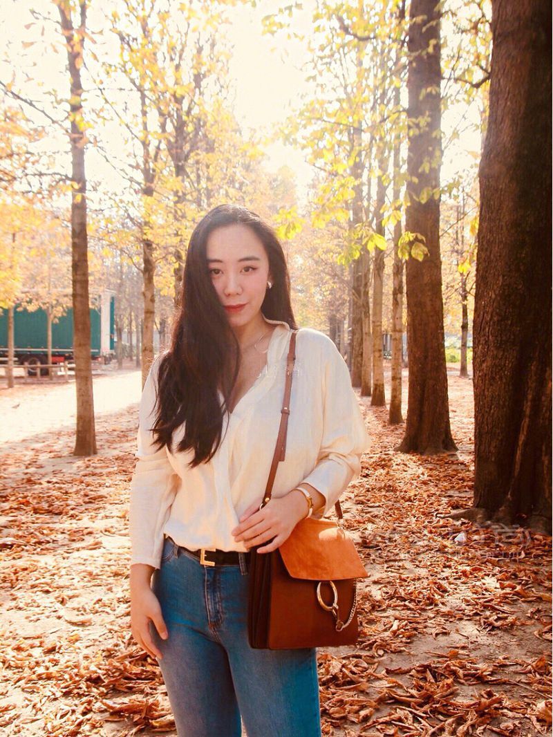 蔻依Chloe faye大号 shoulder bag halo焦糖咖啡馆_4