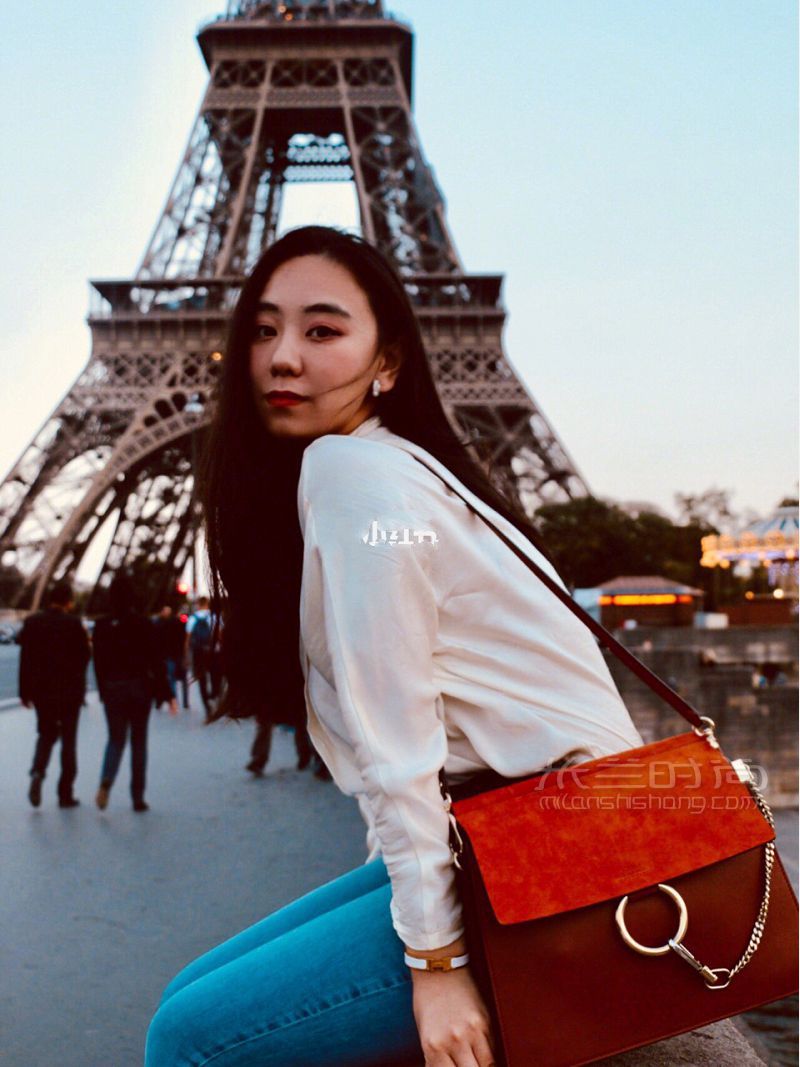 蔻依Chloe faye大号 shoulder bag halo焦糖咖啡馆_1