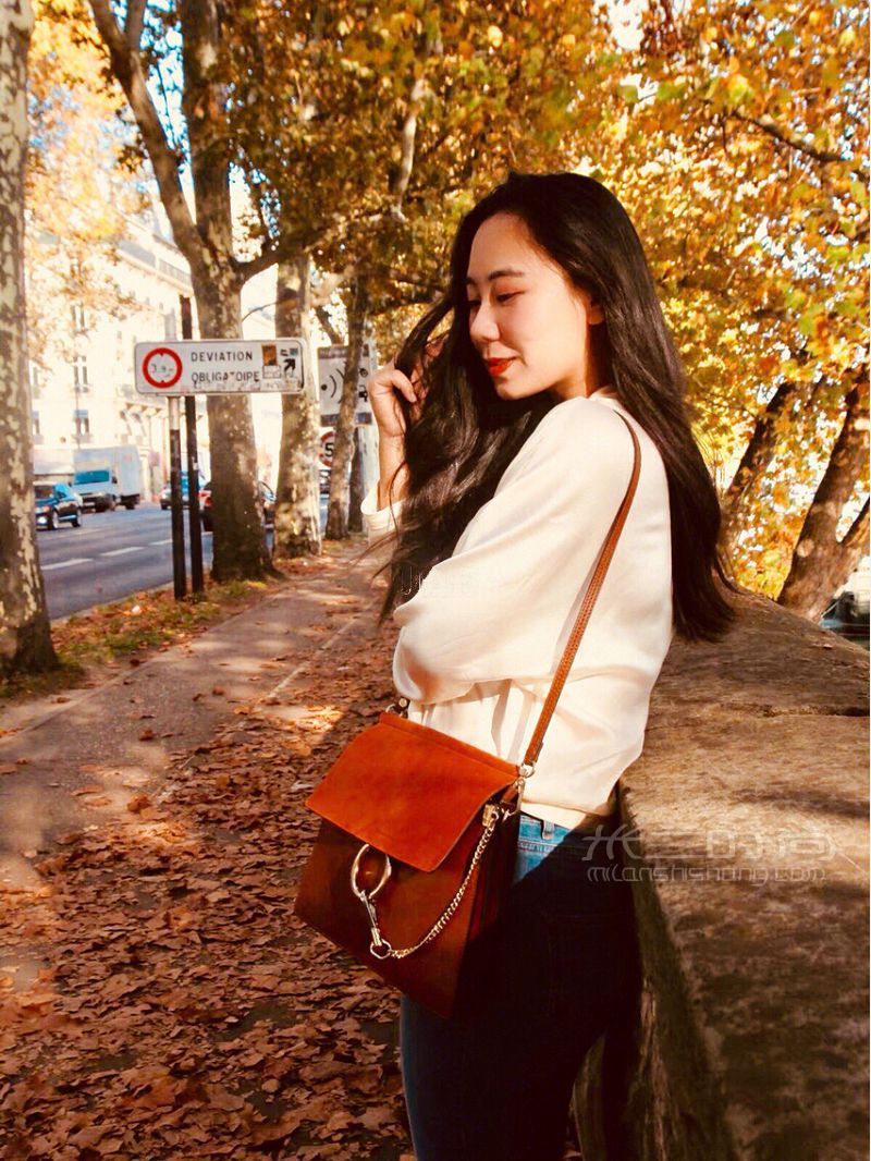 蔻依Chloe faye大号 shoulder bag halo焦糖咖啡馆_5
