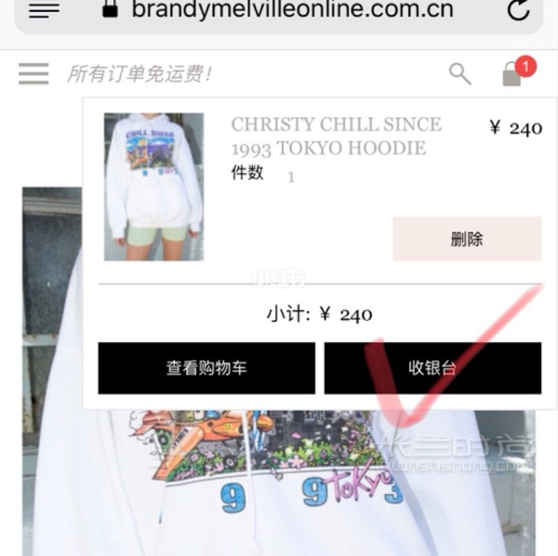 BrandyMelville中国官网全程指南_5