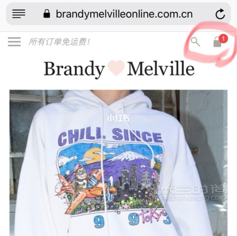 BrandyMelville中国官网全程指南_4