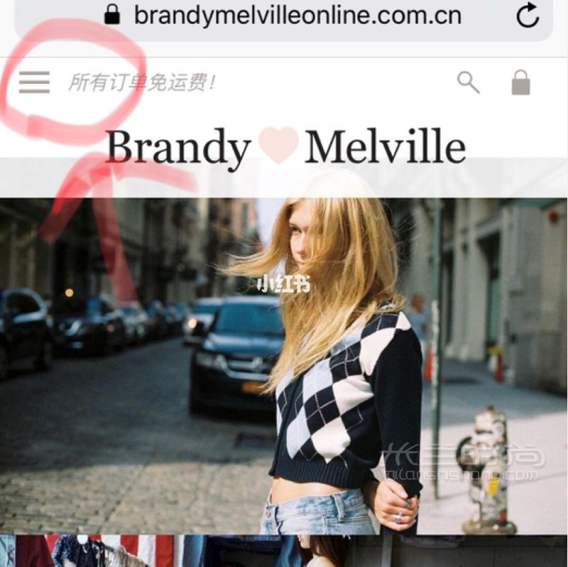 BrandyMelville中国官网全程指南_2