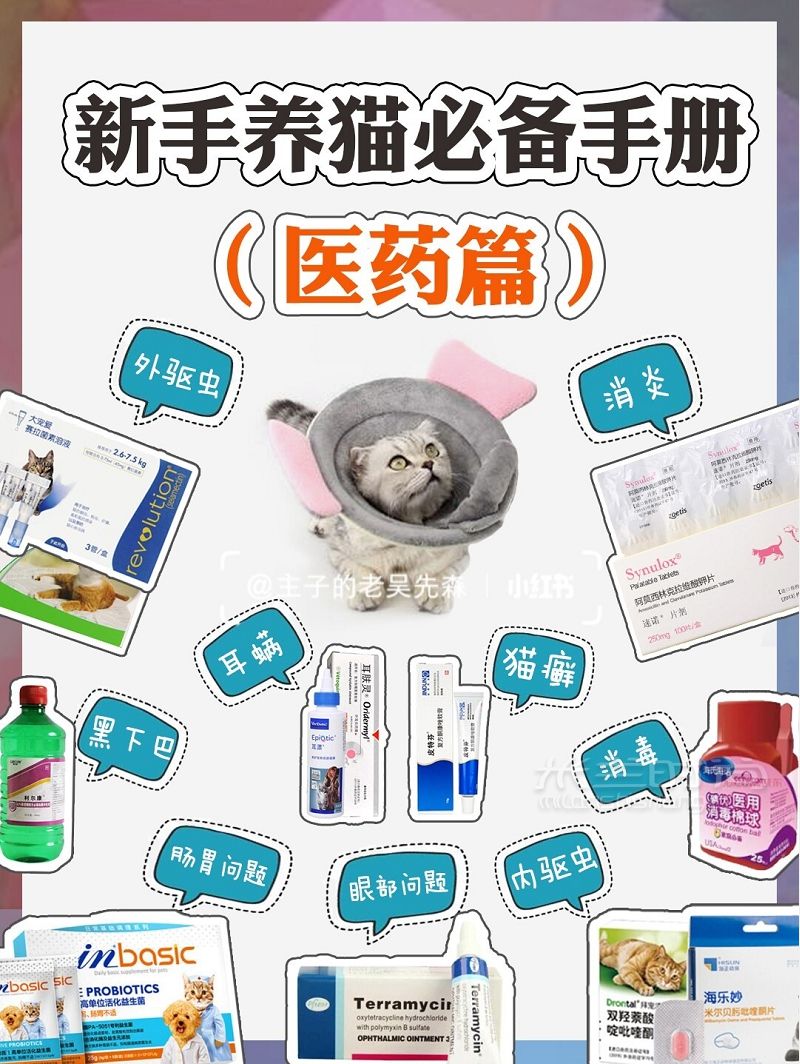 猫咪用品（医药篇）新手养猫必备养猫攻略_1