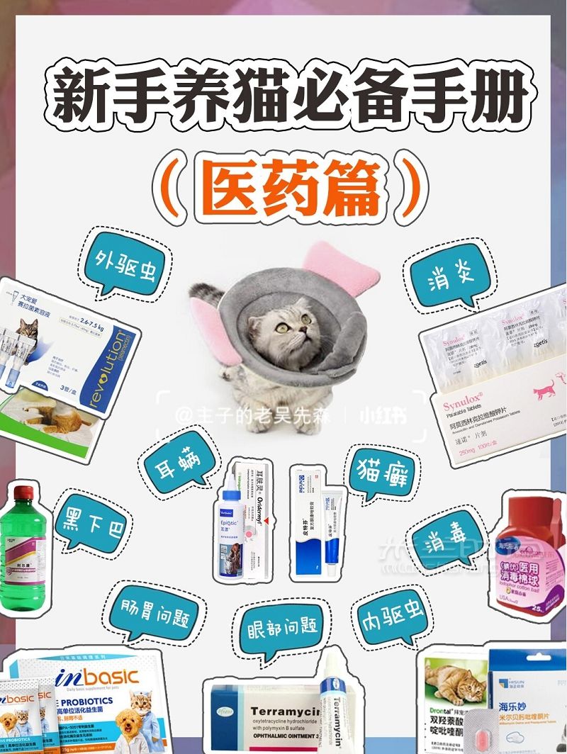 猫咪用品（医药篇）新手养猫必备养猫攻略_1