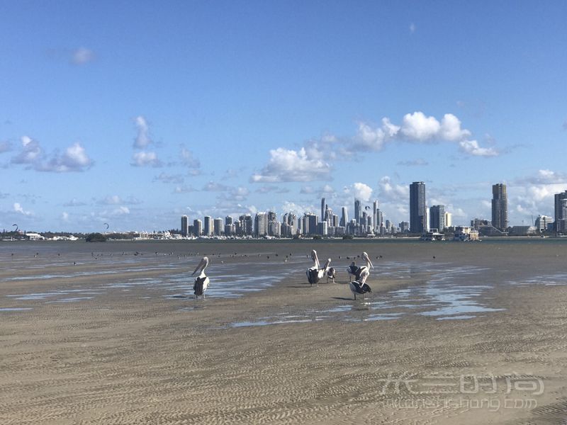 澳洲黄金海岸旅游攻略-澳洲景点-澳大利亚海洋公园_5