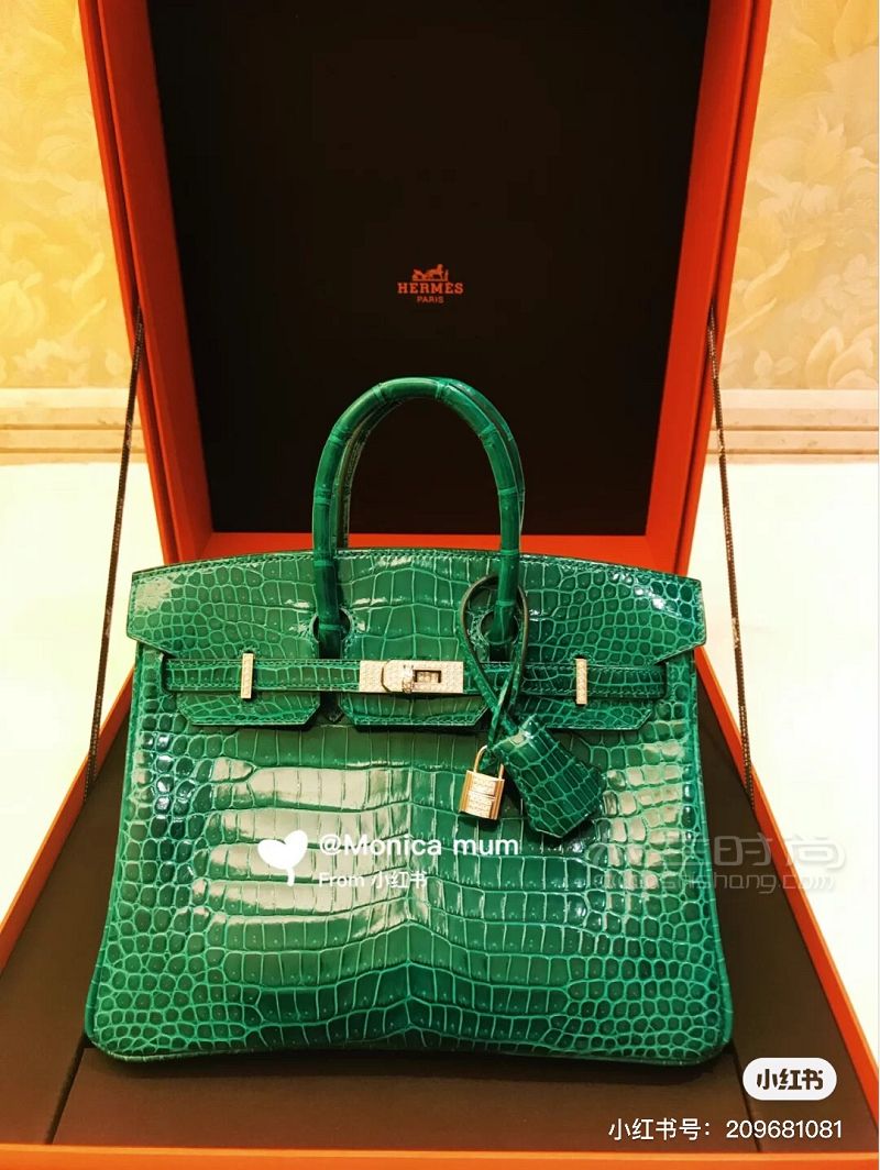 Hermes爱马仕包包合集 birkin constance_7