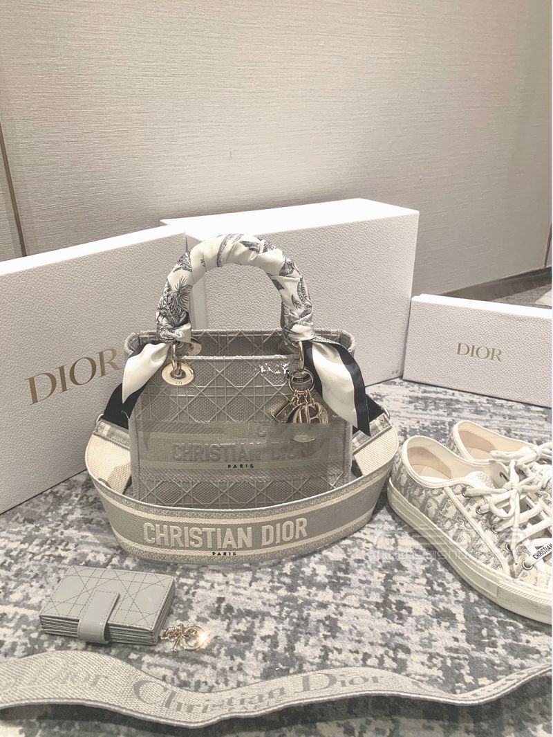 Dior2020灰色帆布戴妃包怎么样？掉入大象灰陷阱_1