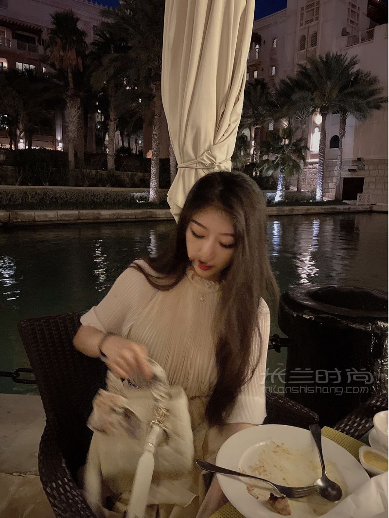 Dior迪奥 戴妃包4格 白雪公主-白雪公主-戴妃包-_4